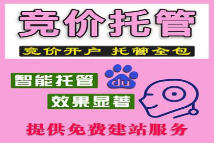 行业领先企业的SEM推广优化经验分享